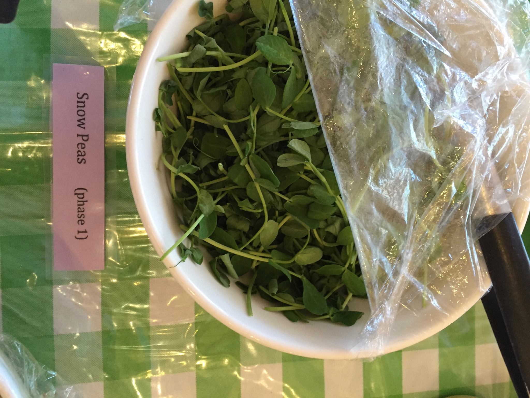 Les aventures de Wendy