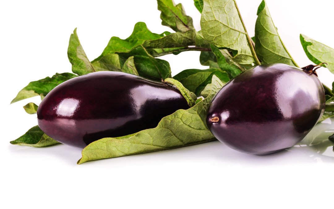 L’été bat son plein, c’est la fête de l’aubergine et de la courgette