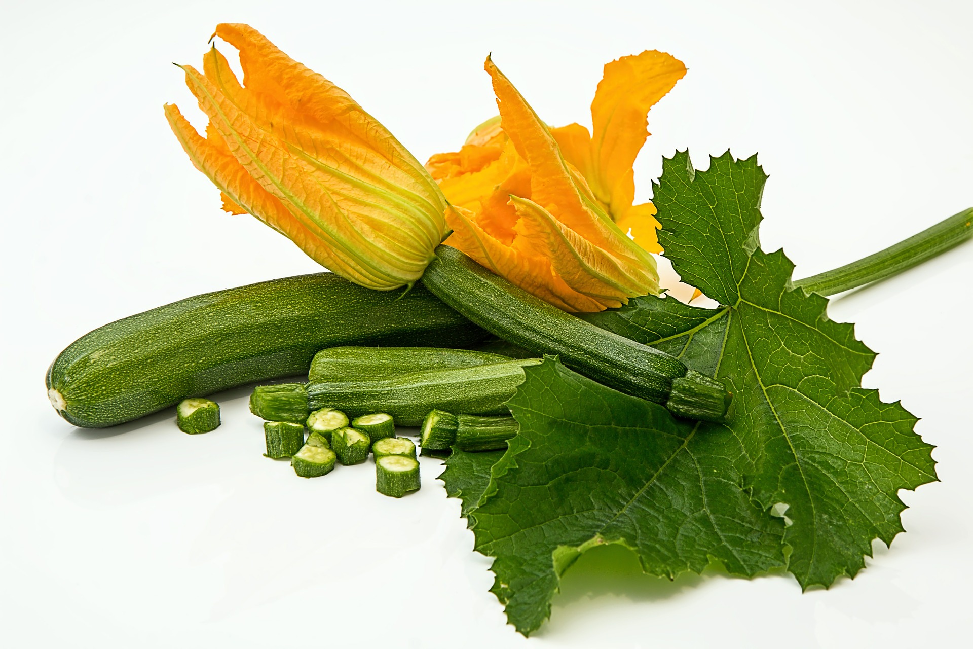 Courgette reine de l’été