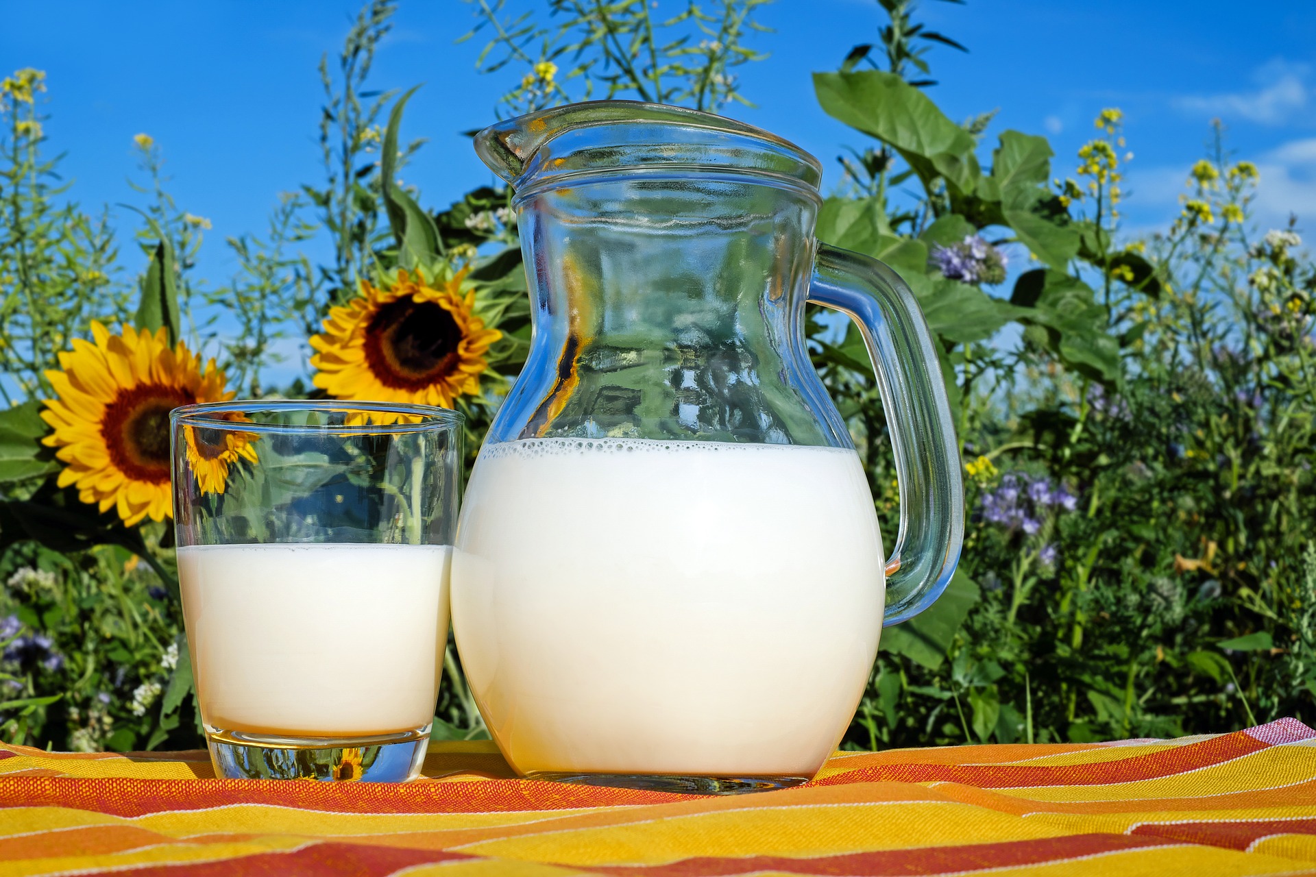Idée reçue..ou pas. Faut-il boire du lait pour avoir les os solides ?