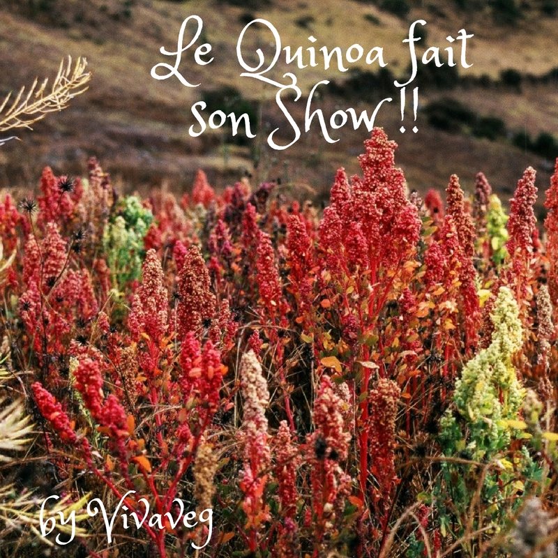 Cuisinez « portions » ou quand 1 ingrédient fait son show !