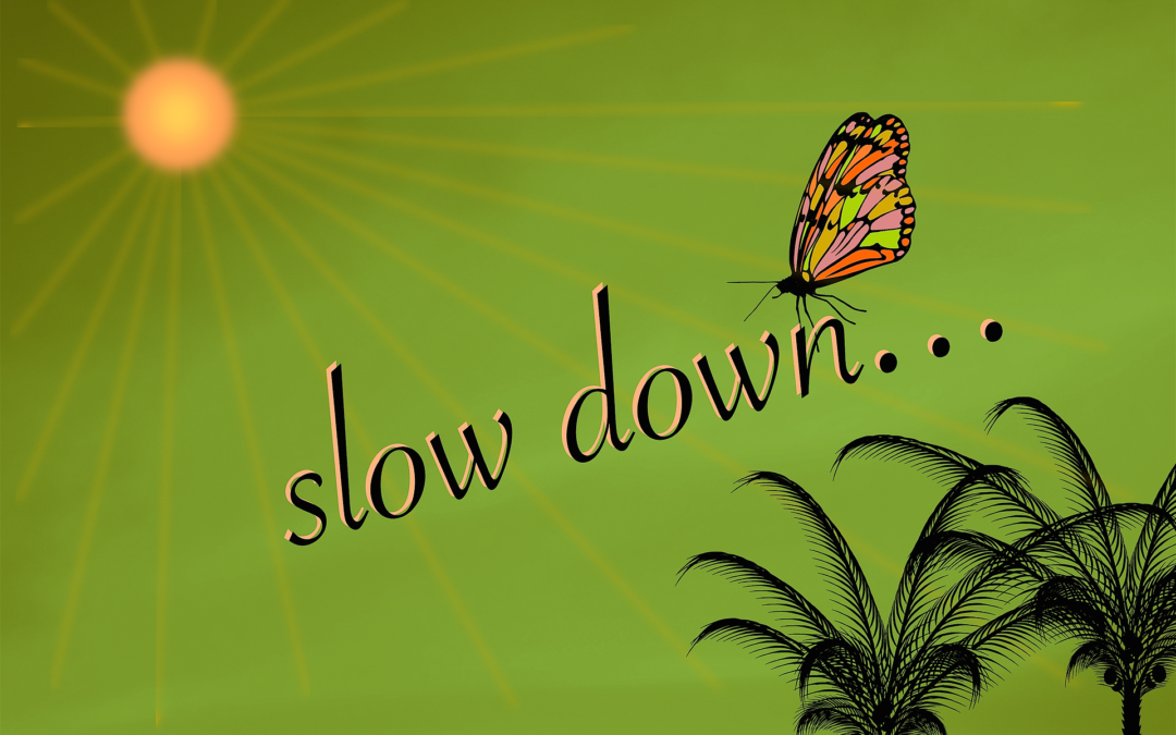 Lorsqu’on ralentit, la magie opère !